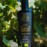 Olio Extravergine d'Oliva Biologico Selection