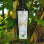 Olio Extravergine di oliva Biologico Dianora